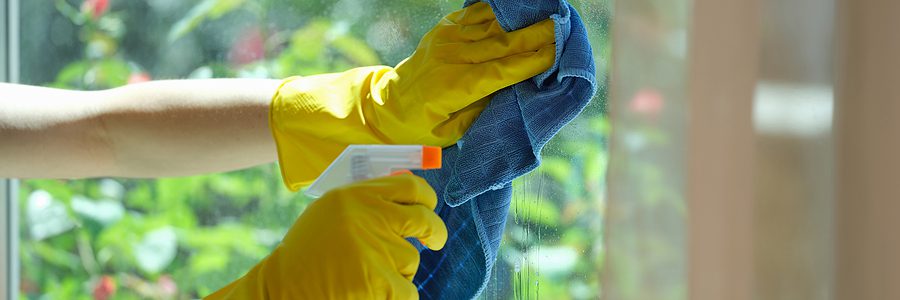 close up photo of a professional cleaning a window