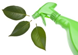 green cleaning concept, spray bottle with leaves